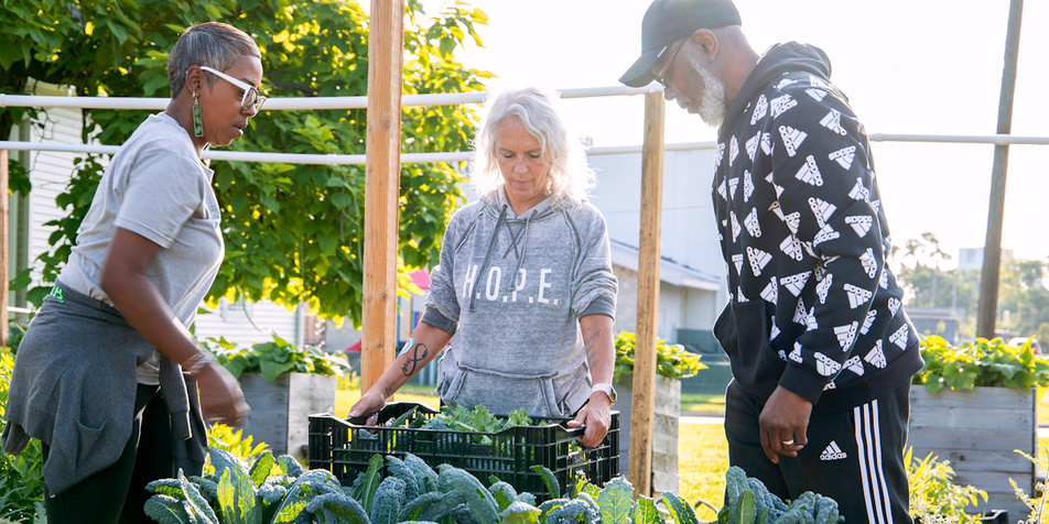 Web 20230718 Sonias 05 web