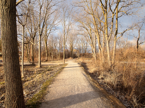 20210315 Manhattan Marsh 01 web