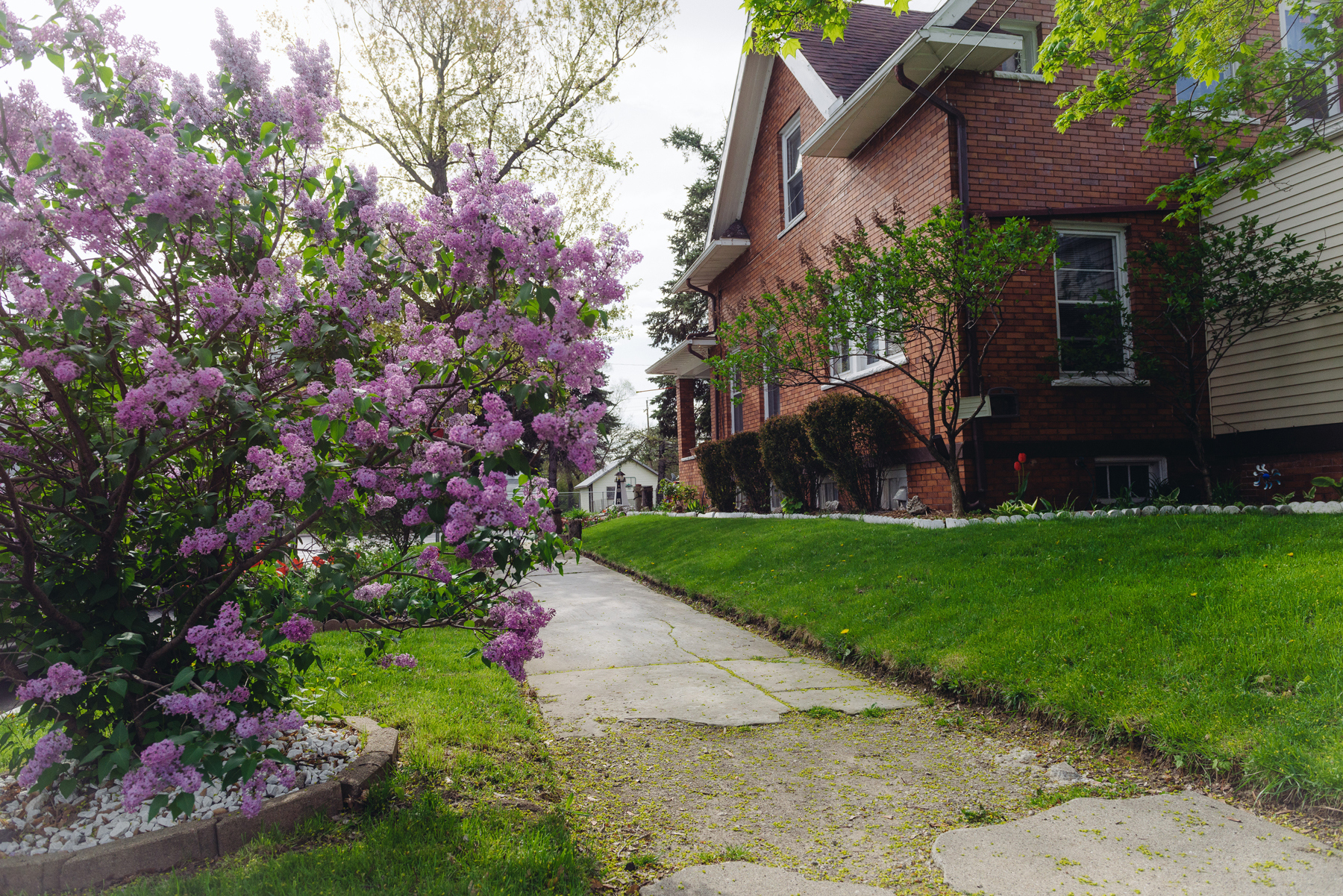 About Lucas County Land Bank